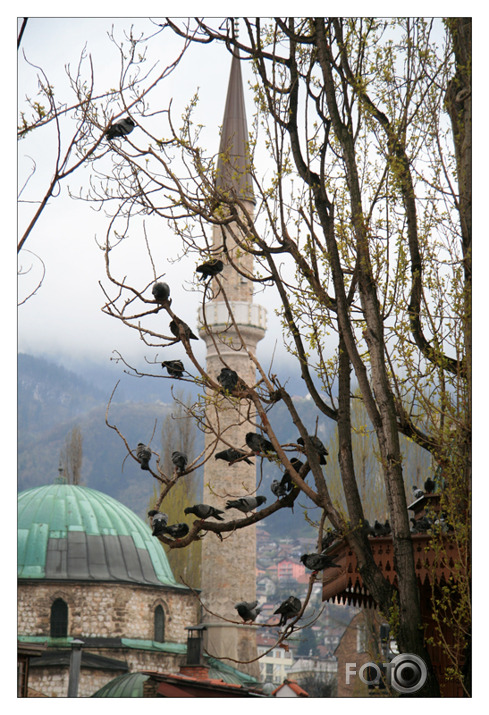 Balkāni II (Bosnija un Hercegovina)