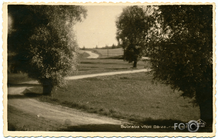 Sudraba vītoli Bērzaunes ceļā