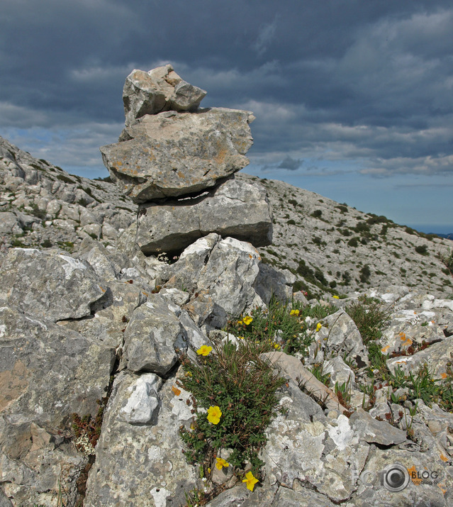 Uzkapiens Punta Catarina