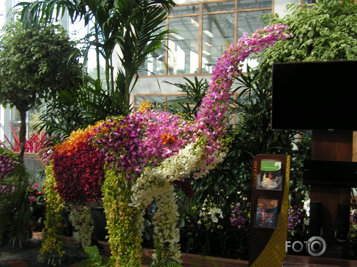 karaliskoo ziedu un floristikas izstāde (Floriade)