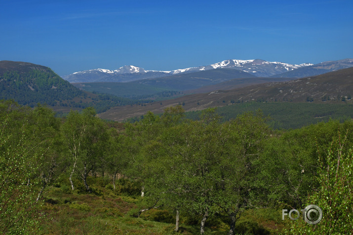 Rambleri CairnGorm Kalnos