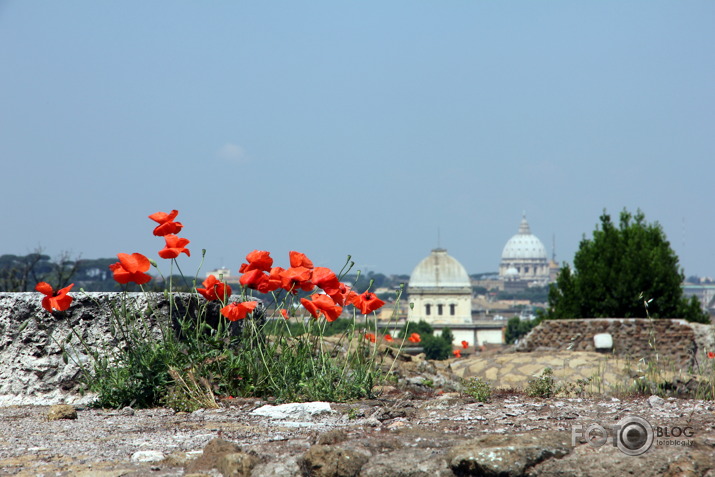 Rome