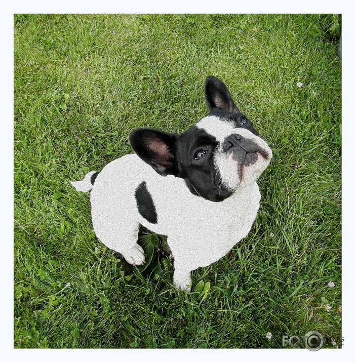 lai Melnītim nav skumji :)