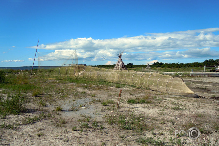 Brīvdienu trips Igaunijas salās (Muhu).