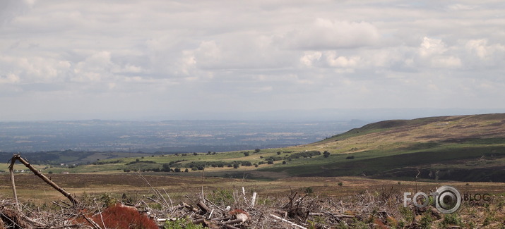 Coed Llandegla