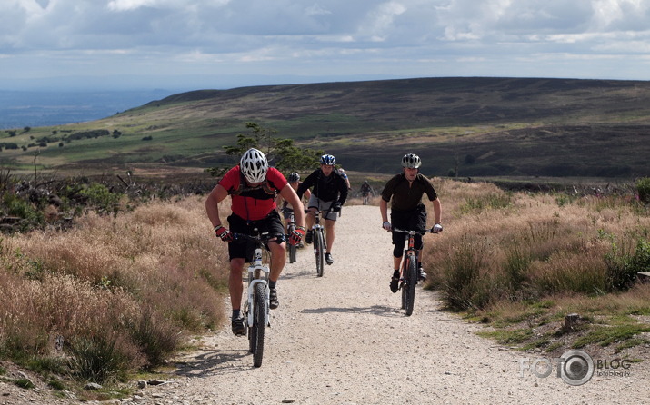 Coed Llandegla