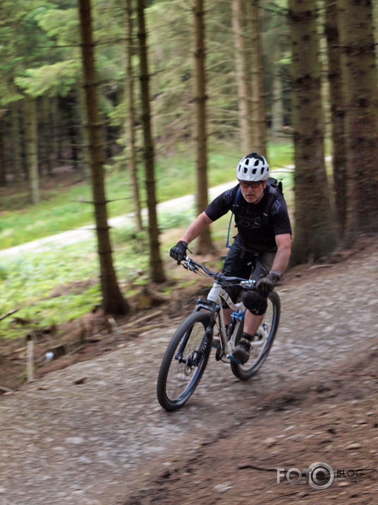 Coed Llandegla