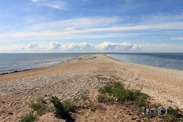 Brīvdienu trips Igaunijas salās II (Saaremaa)