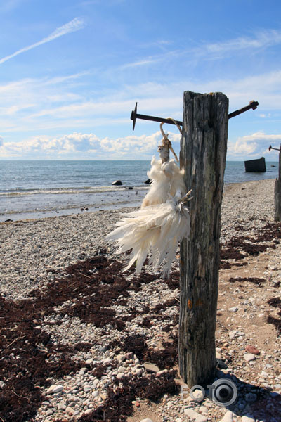 Brīvdienu trips Igaunijas salās II (Saaremaa)