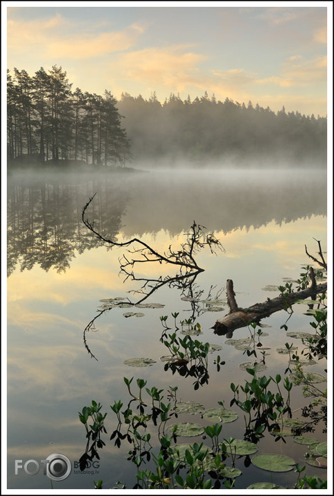 Metesjön. Pēc lietavām 