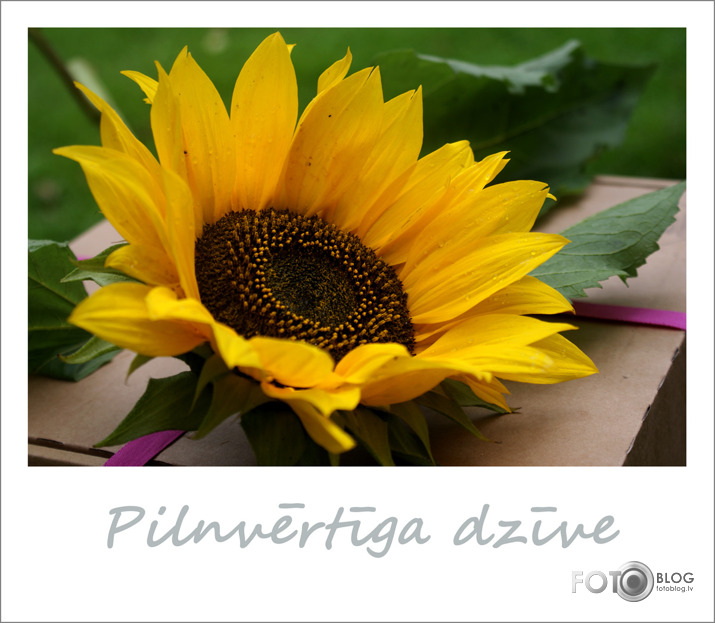 Pilnvērtīga dzīve