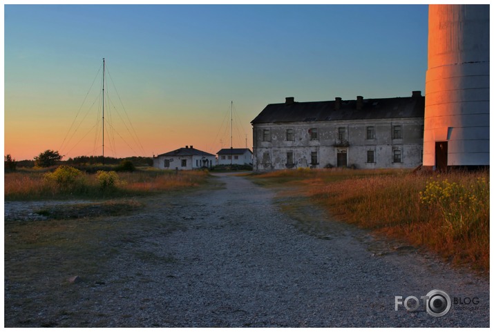 saulriets Saaremaa