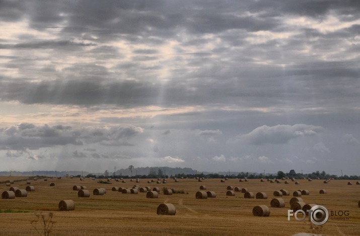 Pļaujas laiks