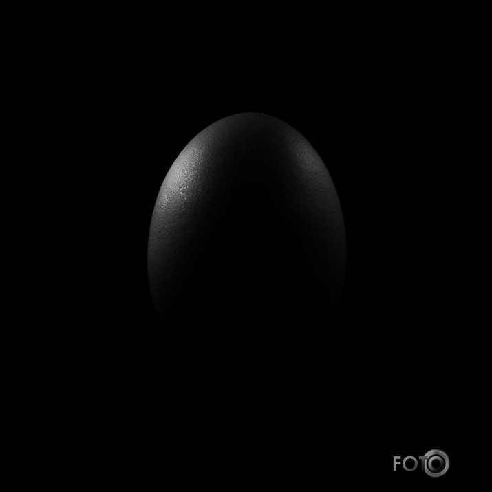 egg. low key