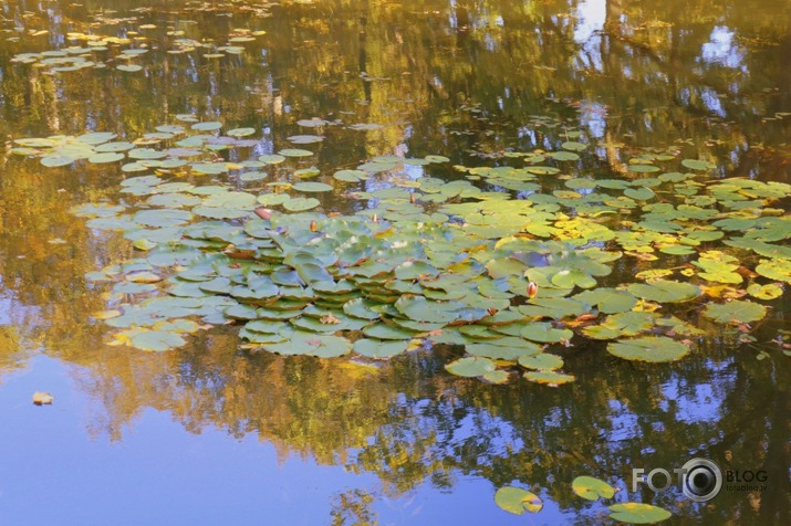 Rudens Mālpils muižā