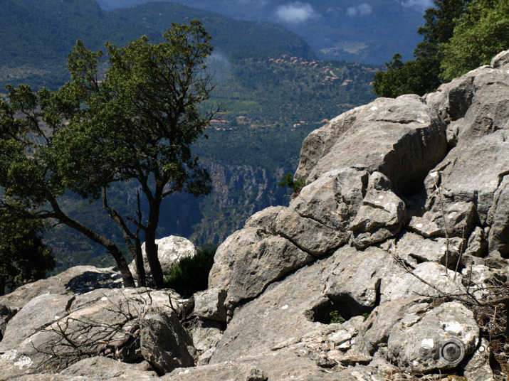 Camí de s'Arxiduc