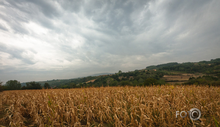 Razanj, Serbijas mazpilsēta 1 daļa, nomale