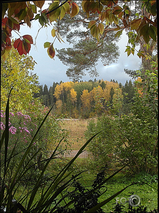 Mainīgā glezna ar citronzāli