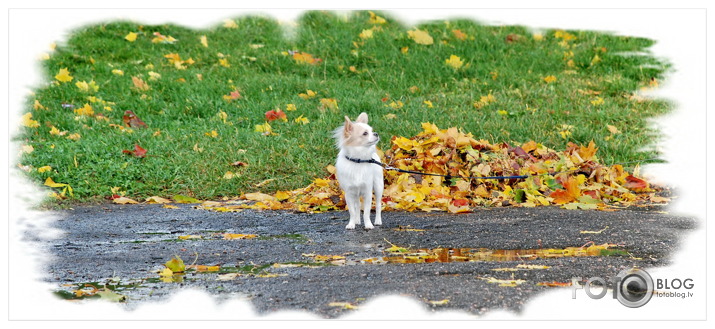 rudens klāt