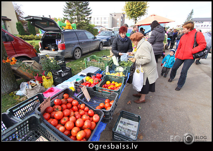 Kautkas par saknēm un augļiem