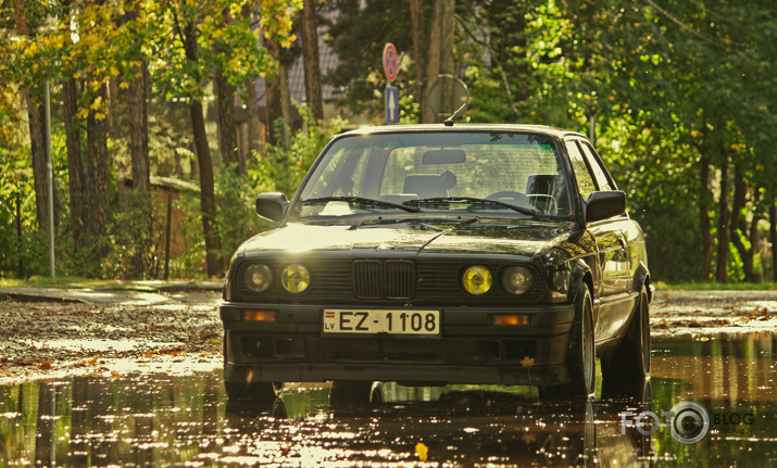 It`s autumn II