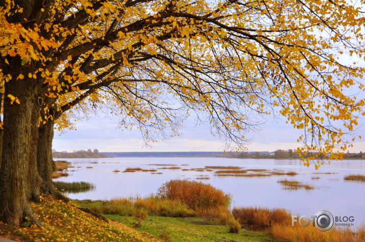 Rudens kā jau rudens