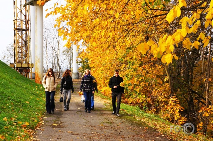 Zelta rudens Siguldā