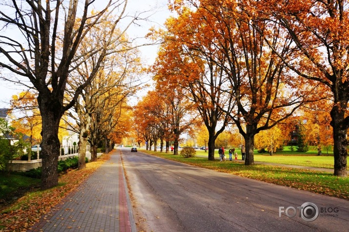 Zelta rudens Siguldā