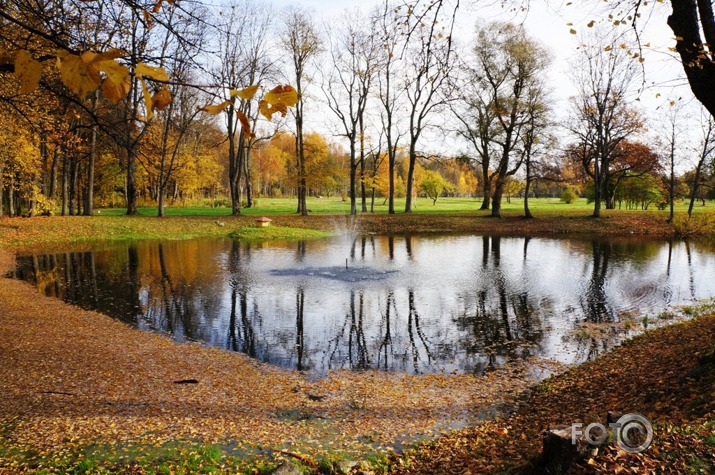 Zelta rudens Siguldā