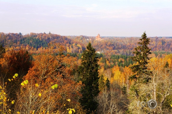 Zelta rudens Siguldā