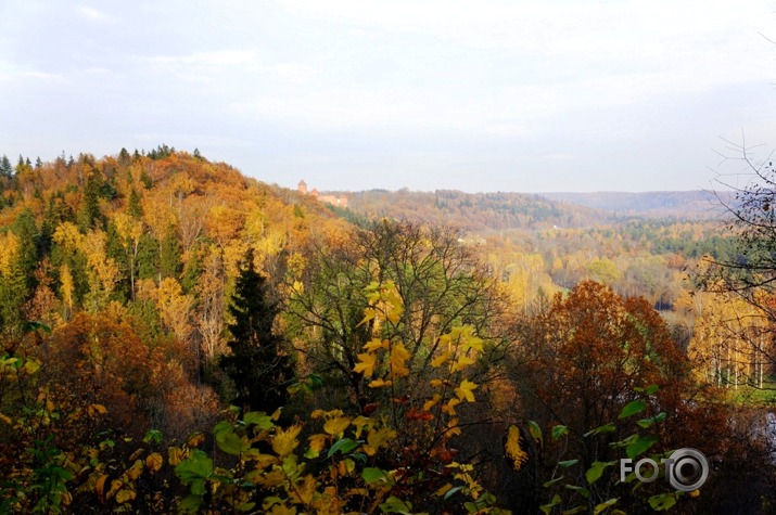 Zelta rudens Siguldā