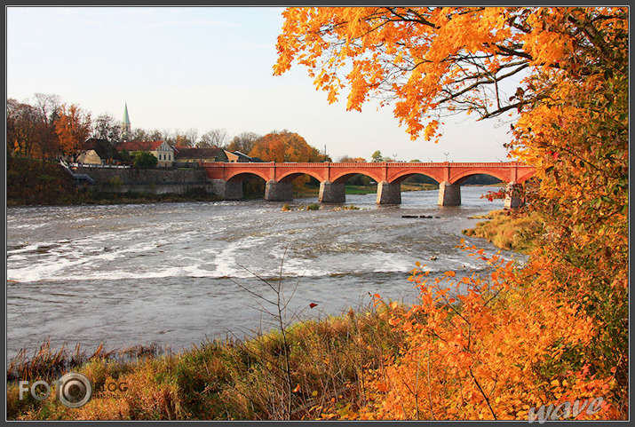 Rudenīga kartačka