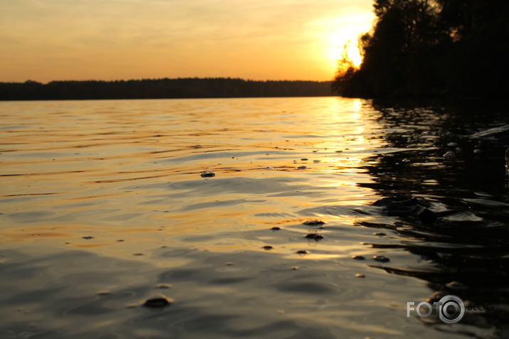 Daugava