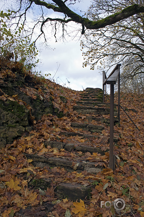 Zemapziņas pakāpieni