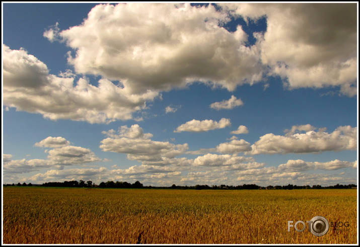 kā gulbji balti padebeši iet...