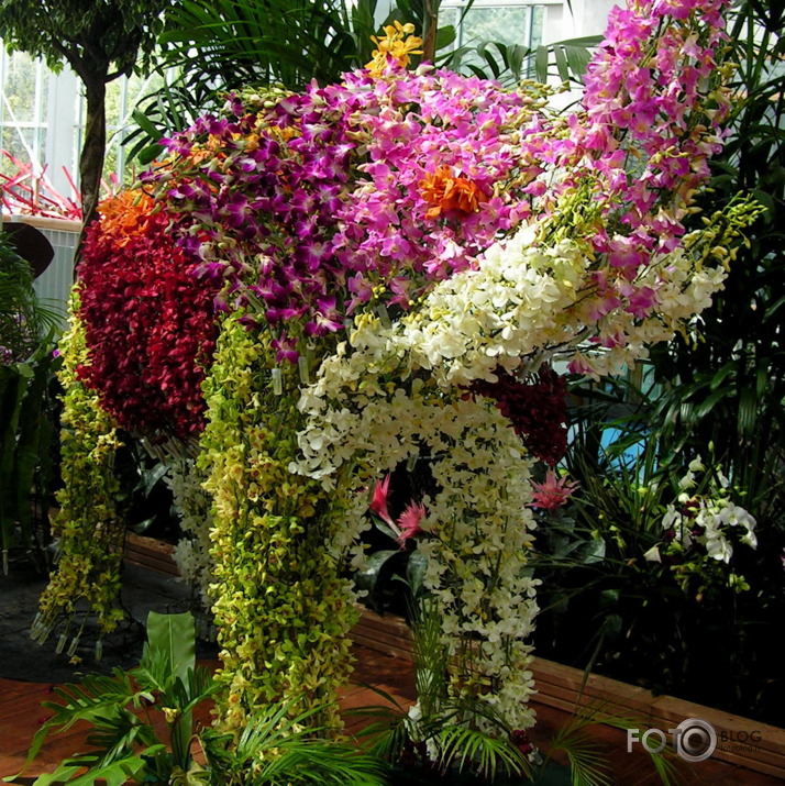 Floriade- floristikas izstāde Holandē