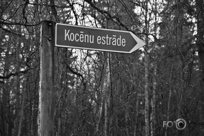 Melnbalts