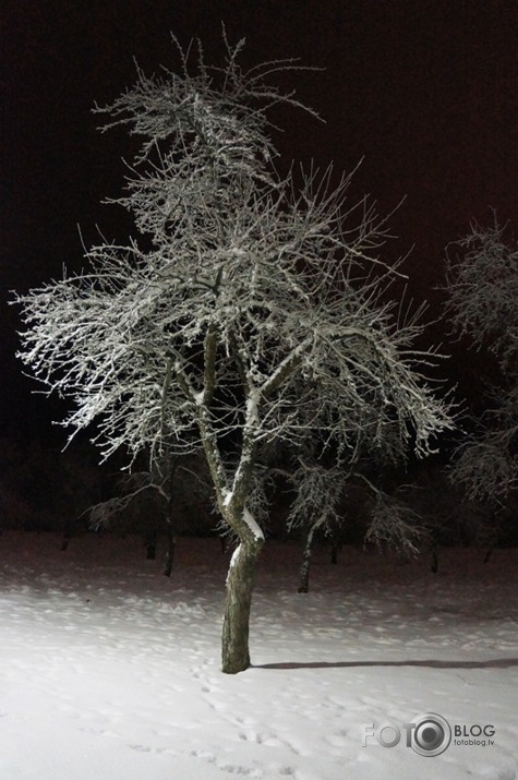 Sigulda otrajā Adventē