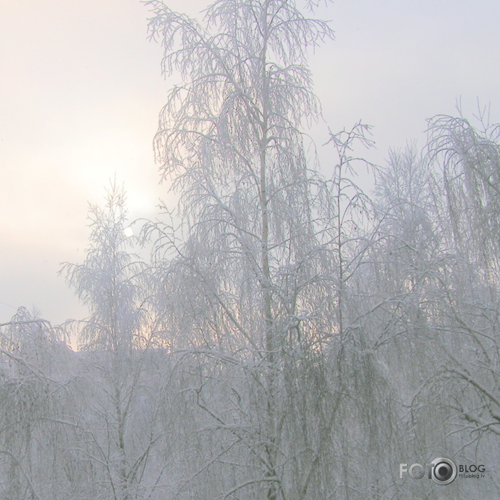 balta balta diena decembrī