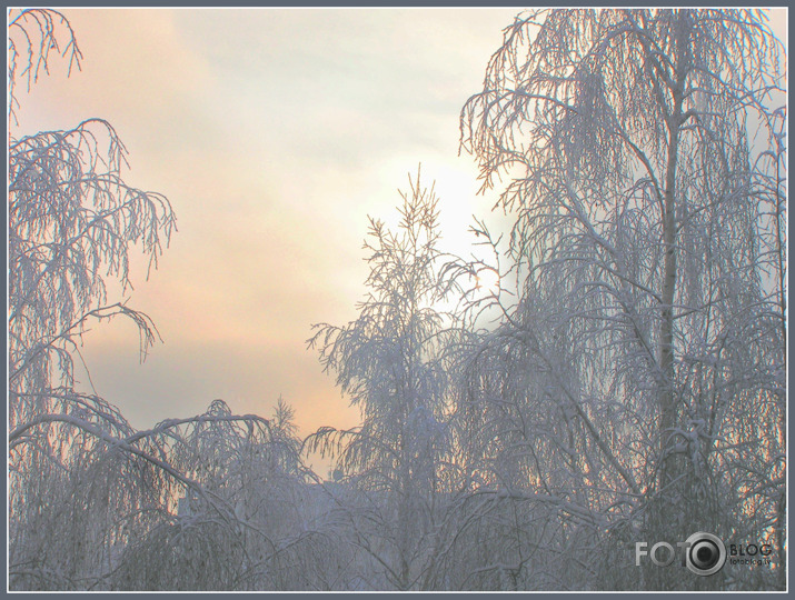 balta balta diena decembrī