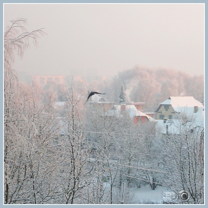 balta balta diena decembrī