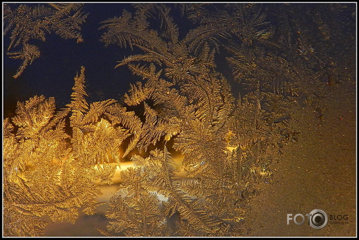 Decembra vidū loga rūtis ziedēja...