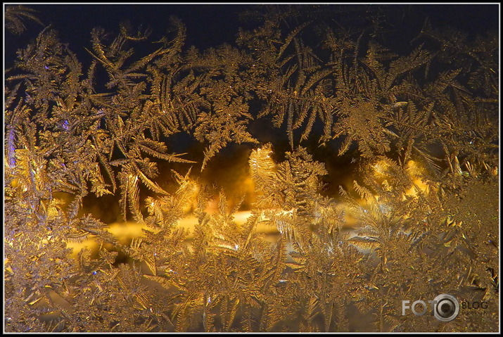 Decembra vidū loga rūtis ziedēja...