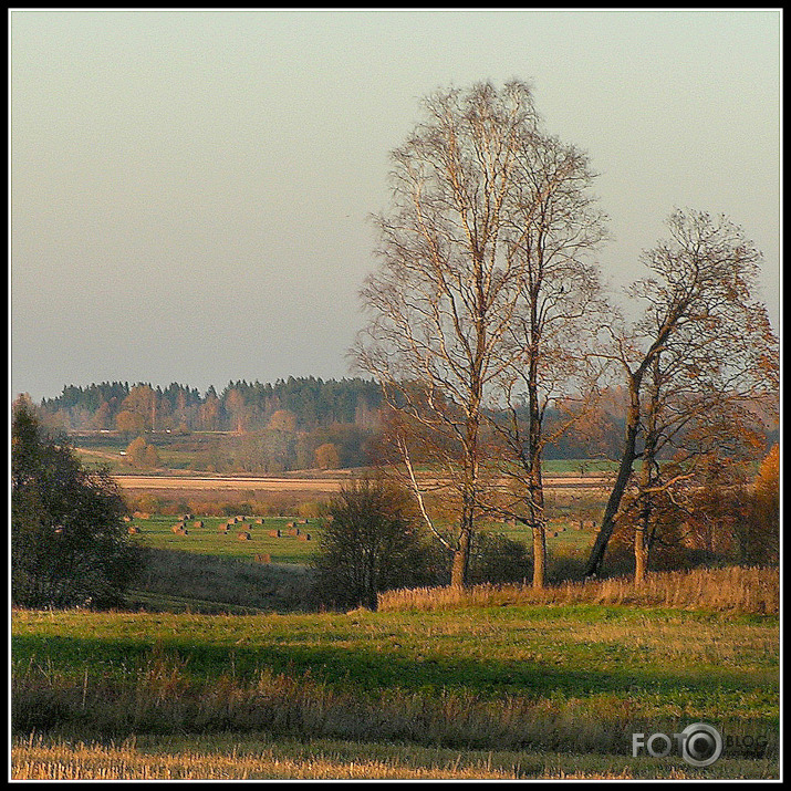 rudens novakare