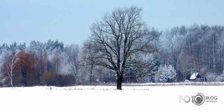 Zemgale ziemā