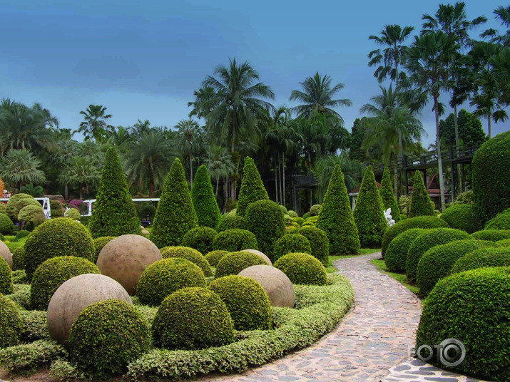 Botaniskaja dārzā Taizemē (2. daļa)
