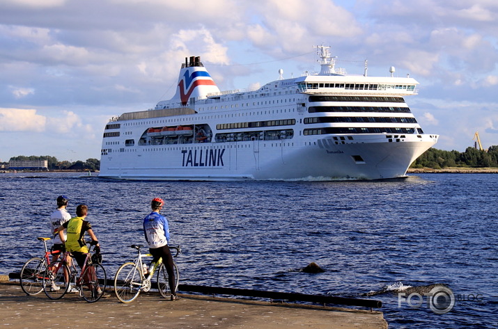 TALLINK