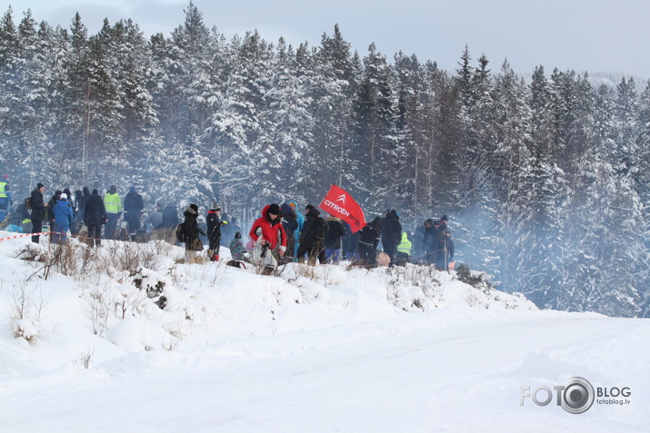 WRC Sweden 2013 