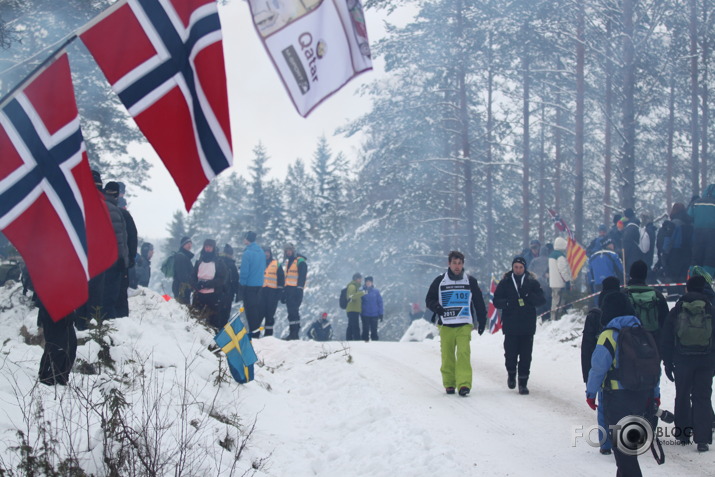 WRC Sweden 2013 