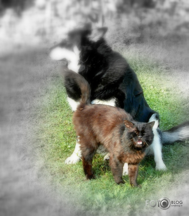 Es esmu pats galvenais...